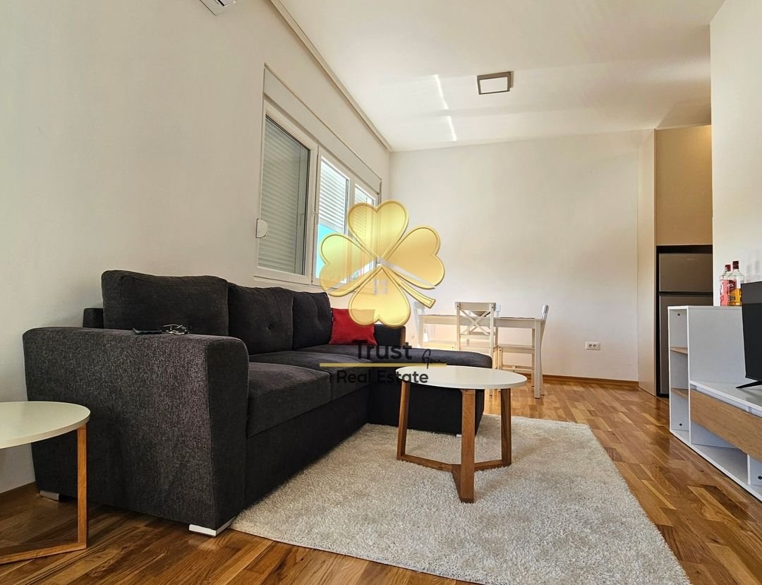 Apartment for rent in Zagorič, Podgorica — photo 3